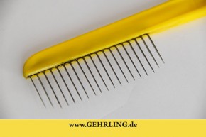 Chinchilla - comb angora
